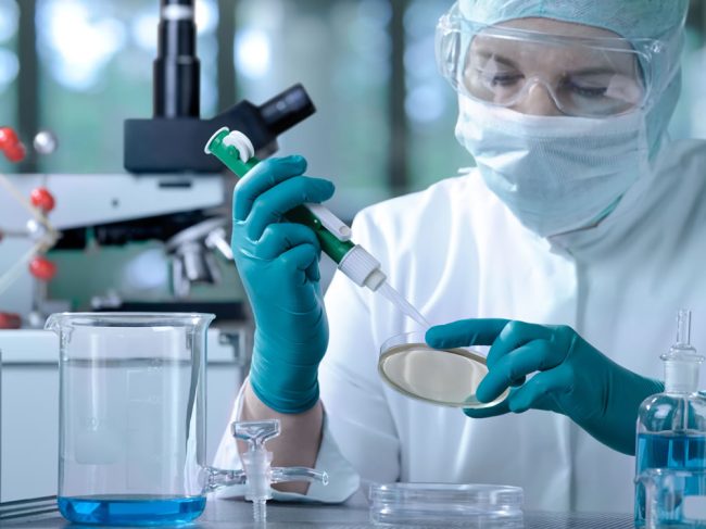 Día del Trabajador de la Industria Química