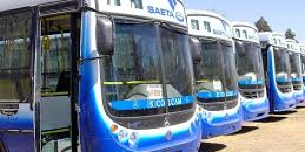 Día del Colectivero